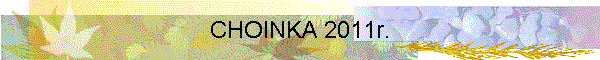 CHOINKA 2011r.